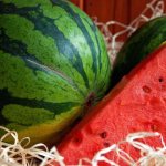 watermelon diet
