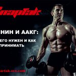 аргинин и аакг Аргинин и ААКГ: для чего нужен и как принимать