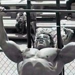 Арнольд жмет штангу лежа