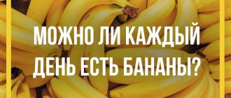 Бананы: польза и вред для организма, для здоровья, сколько нужно съесть