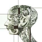 базальный метаболизм похудение