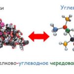 Protein-carbohydrate diet