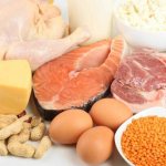 Protein nutrition for weight loss