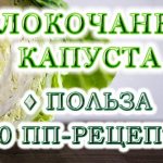 Белокочанная капуста: в чем польза 10 пп-блюд из капусты