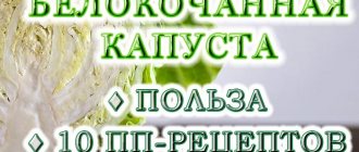 Белокочанная капуста: в чем польза 10 пп-блюд из капусты