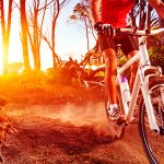 Бицепс бедра лучше всего накачать