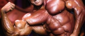 bodybuilder