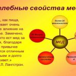 целебные свойства мёда