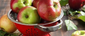 Чем полезны яблоки для организма человека?