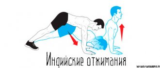 Индийские отжимания техника