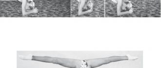 Inessa Shipilina, Igor Samokhin - Fitness sports: a textbook for students