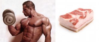 Качок и кусок сала