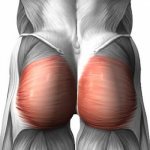 Как накачать ягодицы мужчине