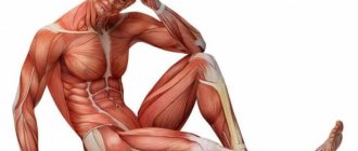 Как предотвратить потерю мышечной массы после 40