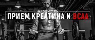 Как совместить прием креатина и ВСАА
