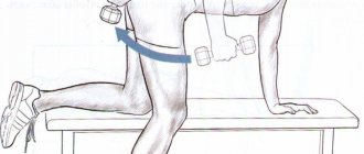How triceps work