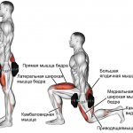 Какие мышцы работают