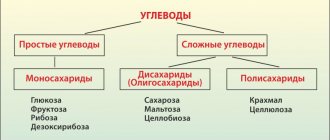 классификация углеводов