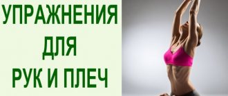 Комплекс общеразвивающих упражнений по физкультуре для взрослых. Как выполнять