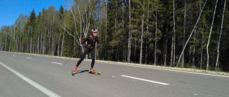 Лыжероллеры: тренировки лыжников летом