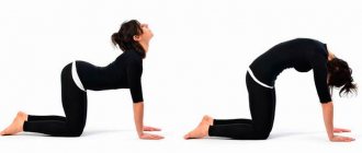 Marjariasana