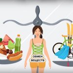 метаболизм