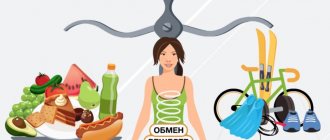 metabolism