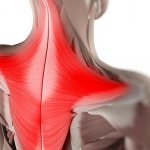 накачать трапецию гантелями