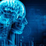 Ноотропы для улучшения памяти и работы мозга