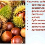 Nuts. Calorie content, nutritional table per 100 grams 