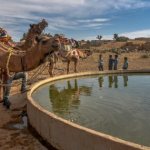 Почему хочется есть