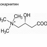Полезные свойства L-карнитина копия