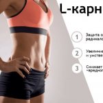 Польза Л-карнитина