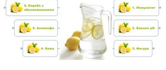 Польза воды с лимоном