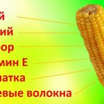 Попкорн соленый. Калорийность 100 грамм, бжу. Как сделать в микроволновке