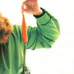 Преодоление эффекта плато при похудении – сдвигаем вес с мертвой точки