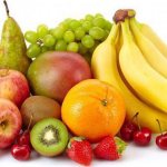 plant-based food products