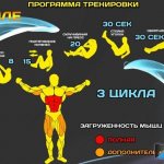 Программа тренировок в домашних условиях