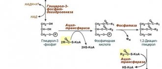 Ресинтез ТАГ