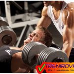 рибоксин калия оротат в бодибилдинге как принимать