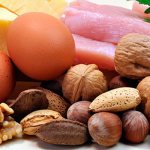 Роль белков для организма