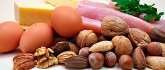 The role of proteins for the body