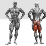 Самые эффективные упражнения на бицепс бедра