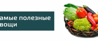 Самые полезные овощи для организма человека и похудения