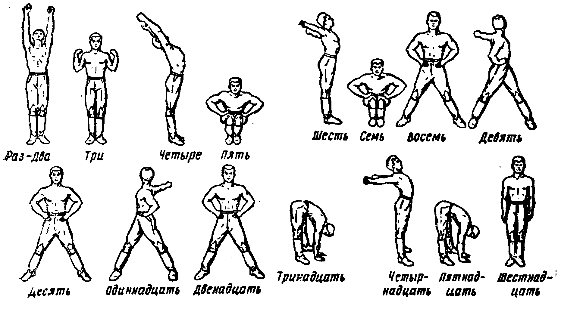 Утренняя зарядка для тех. Комплекс вольных упражнений 1 и 2. Физическая зарядка упражнения. Схемы физкультурных упражнений. Комплекс упражнений физической зарядки.