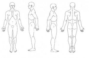 Схема тела