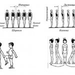 Шеренга и колонна