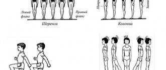 Шеренга и колонна