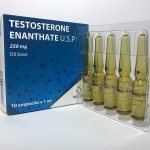 Тестостерона энантат: свойства, применение, дозировки