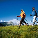 тренажер скандинавская ходьба для дома отзывы